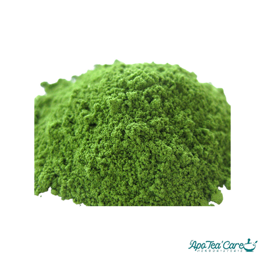 Thé vert Matcha Bio -100g
