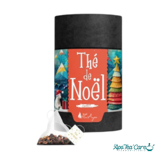 Thé de Noël Bio en tube 80g
