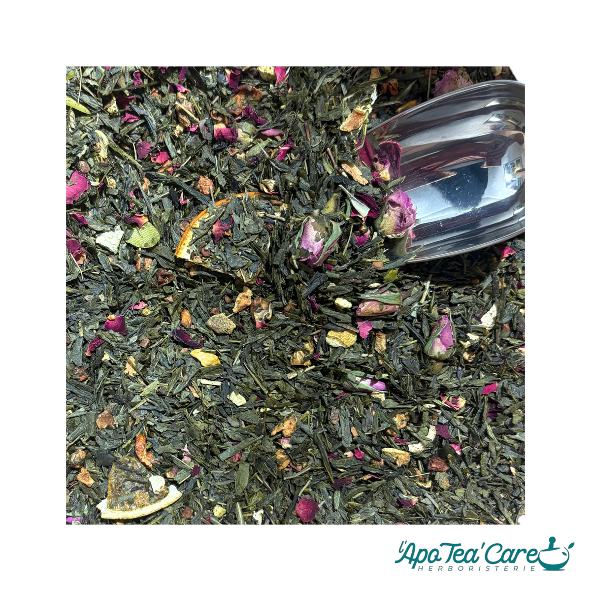 Thé Vert Sencha de Noël