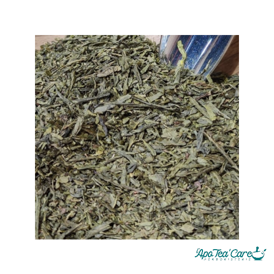 Thé Vert Sencha Japon en vrac – Antioxydants & Fraîcheur – L'ApoTea'Care