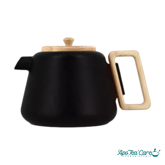 Théière Viggo en fonte Compatible Plaques de Cuisson 500ml ou 1000ml- L'ApoTea'Care Herboristerie