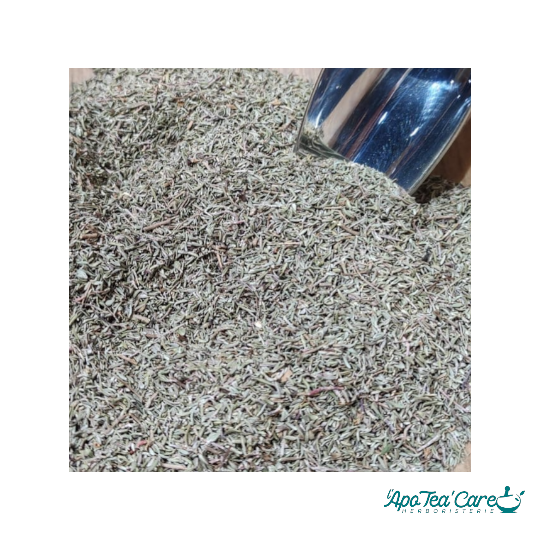 Thym Sauvage de Cueillette Bio - L'ApoTea'Care Herboristerie 