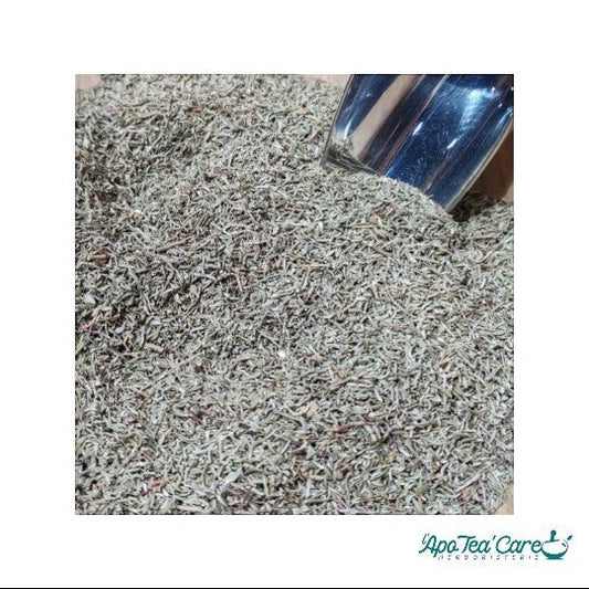 Thym Sauvage de Cueillette Bio - L'ApoTea'Care Herboristerie