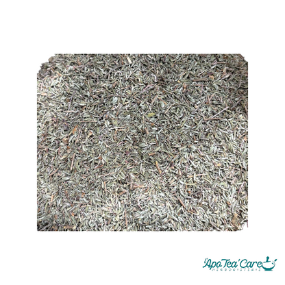 Thym Sauvage Bio Cueillette Premium - Digestion & Respiratoire