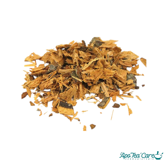 TIlleul Aubier Rouge Coupé