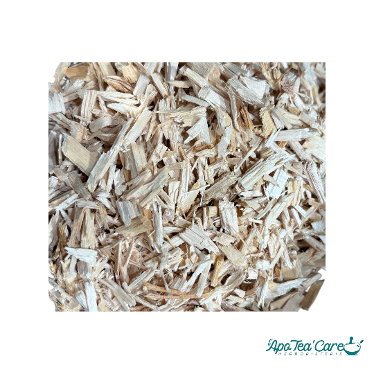 Tilleul Cordata Aubier Coupe QUALITE PREMIUM BIO