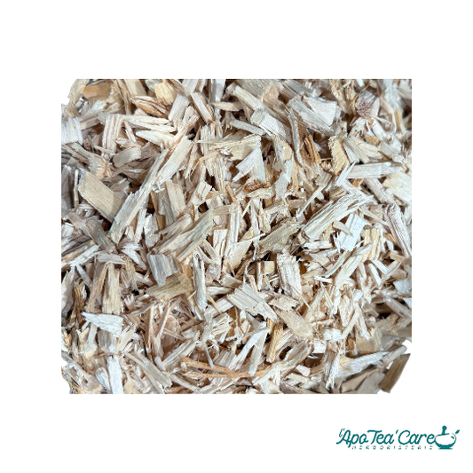 Tilleul Cordata Aubier Coupe QUALITE PREMIUM BIO