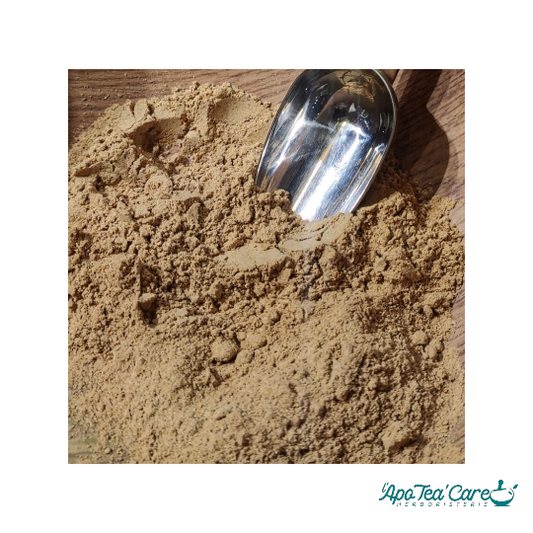 Tribulus - poudre de fruits