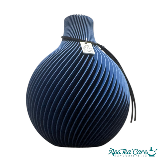 Vase de Senteur – Diffuseur de Parfum d'Intérieur | Iconic Home