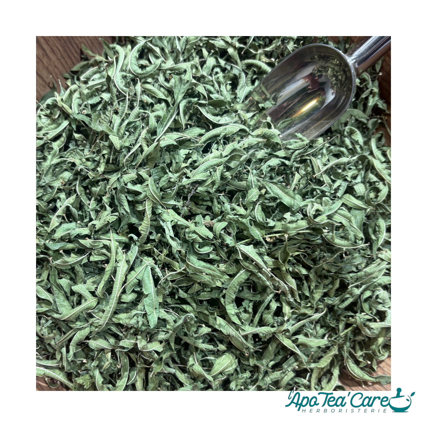 Verveine Odorante Bio Feuille Entière - Détente & Digestion L'ApoTea'Care