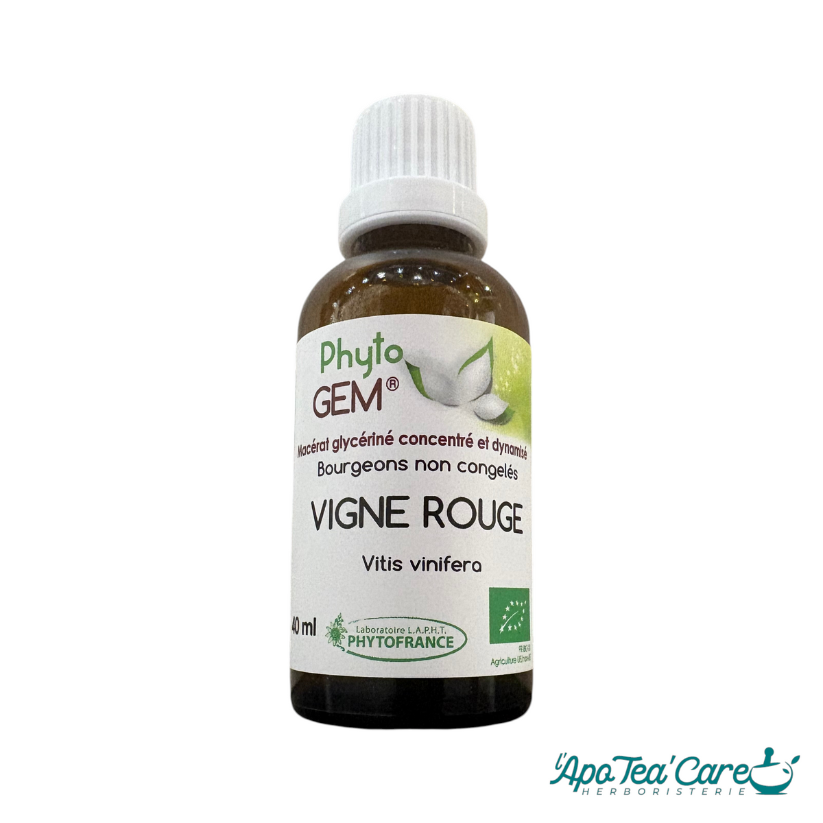 Gemmothérapie, macérat de bourgeons de vigne rouge pour le confort circulatoire - Phytofrance- L'ApoTea'Care