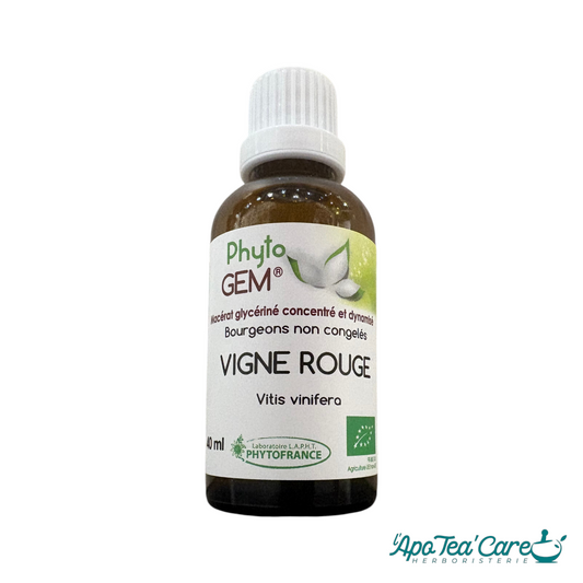 Gemmothérapie, macérat de bourgeons de vigne rouge pour le confort circulatoire - Phytofrance- L'ApoTea'Care